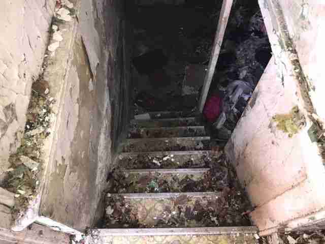 Testing again(37).jpg